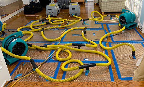 Professional Water Damage Repair technician working in Clark, PA